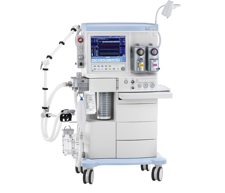 Leoni plus Leoni plus